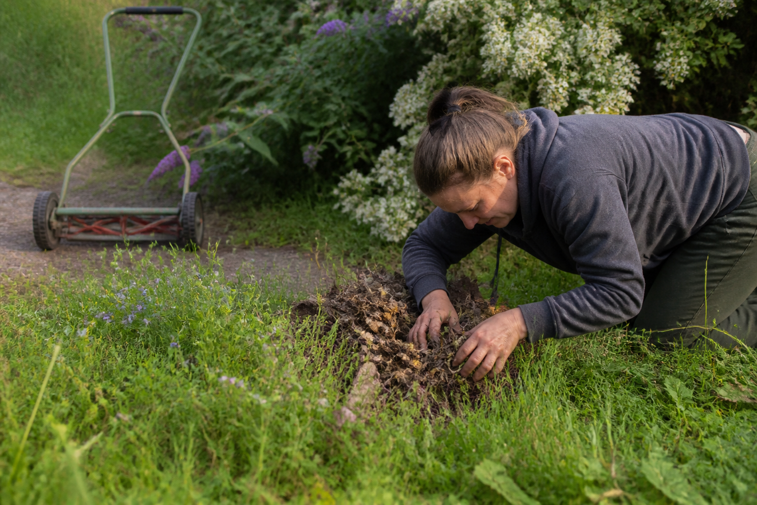 Biodiversité au jardin : gestes simples pour attirer le vivant