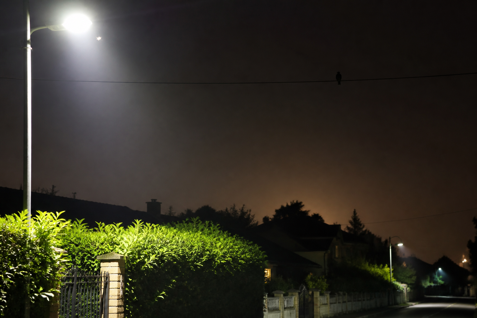 Pollution lumineuse : impacts sur la biodiversité et gestes utiles